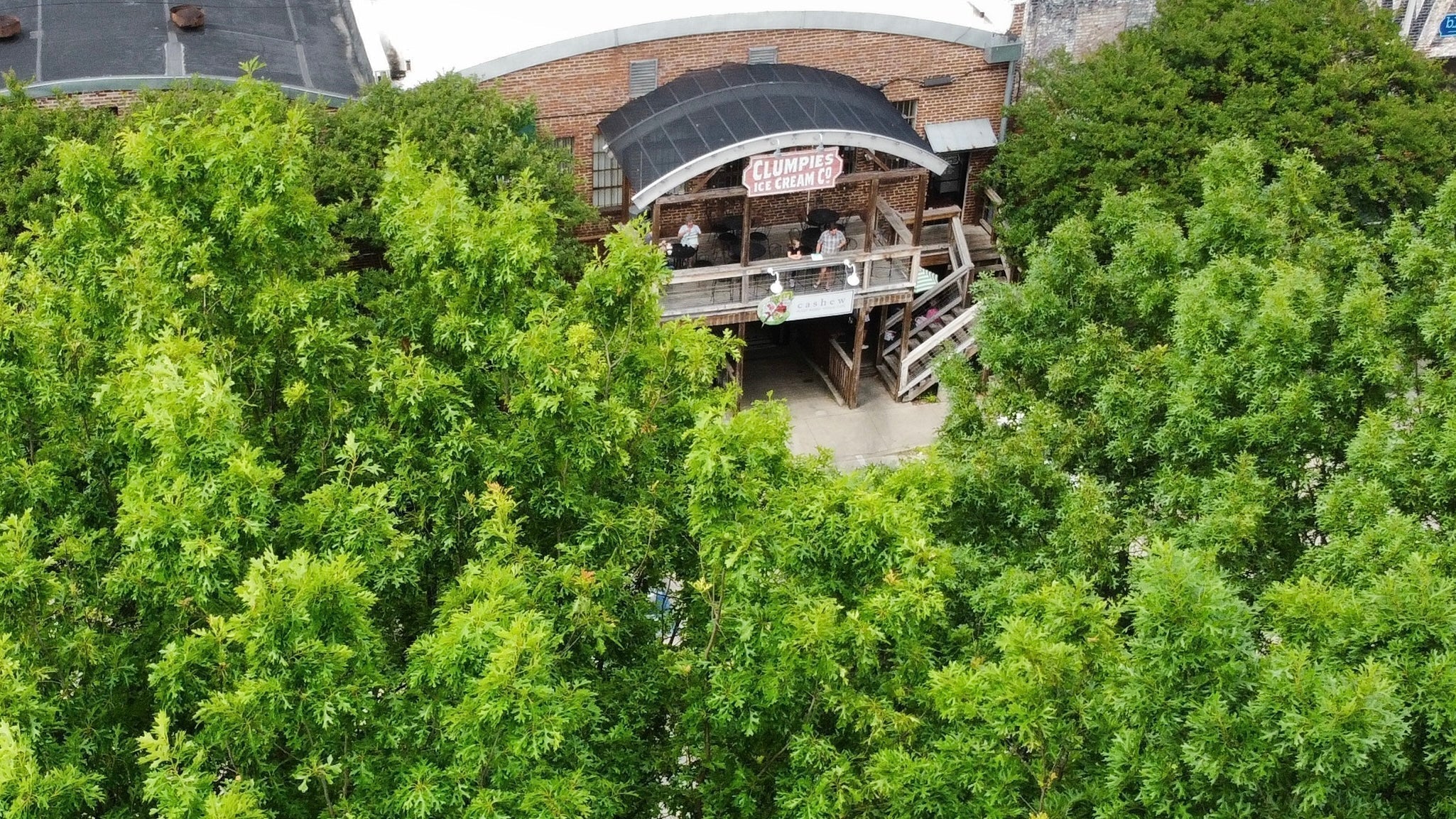 Scoops of Sustainability: From Plastic to Plant Food, Protection to Pellets