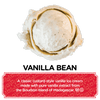 Scoop Shop Classics Pint Pack